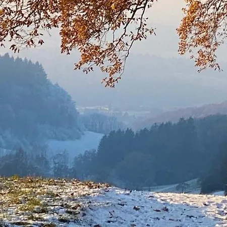 아파트 Odenwald Fernblick