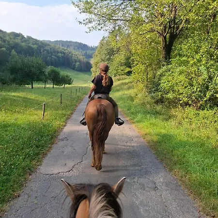 Odenwald Fernblick