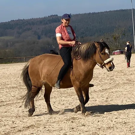 Odenwald Fernblick Brombachtal