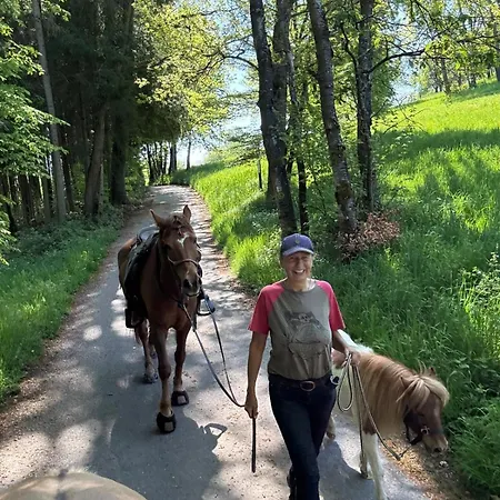 Appartement Odenwald Fernblick