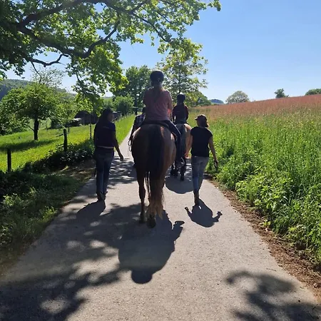 Odenwald Fernblick Appartement Brombachtal