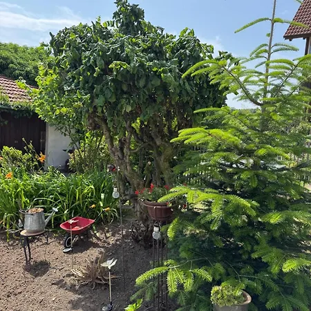 Odenwald Fernblick * Brombachtal
