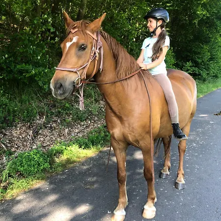 Odenwald Fernblick *