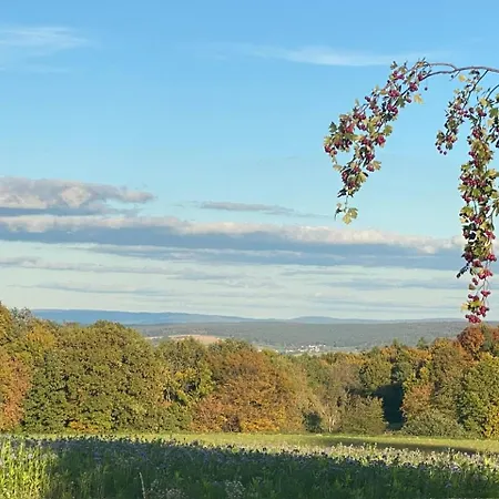 Odenwald Fernblick 아파트 *