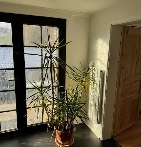 Odenwald Fernblick Lägenhet *