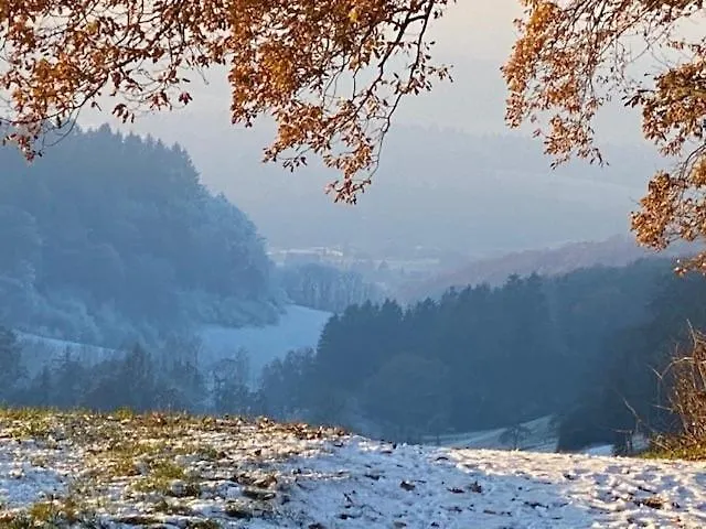 Lägenhet Odenwald Fernblick