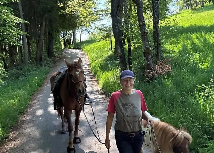 Lägenhet Odenwald Fernblick