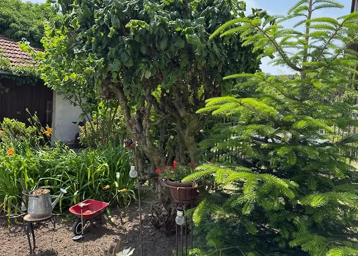 Odenwald Fernblick * Brombachtal