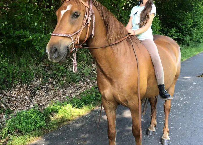 Odenwald Fernblick *