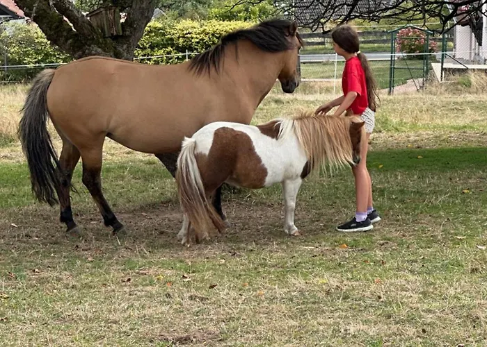 Odenwald Fernblick * Brombachtal