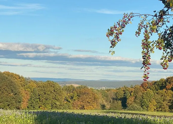 Odenwald Fernblick Lägenhet *